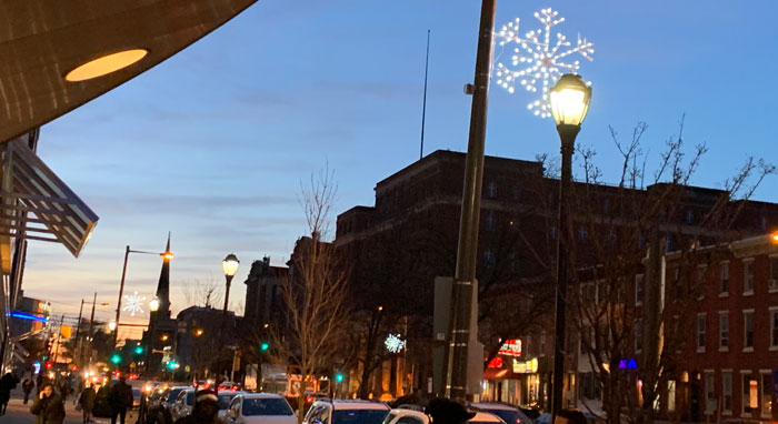 Snowflakes on Spring Garden