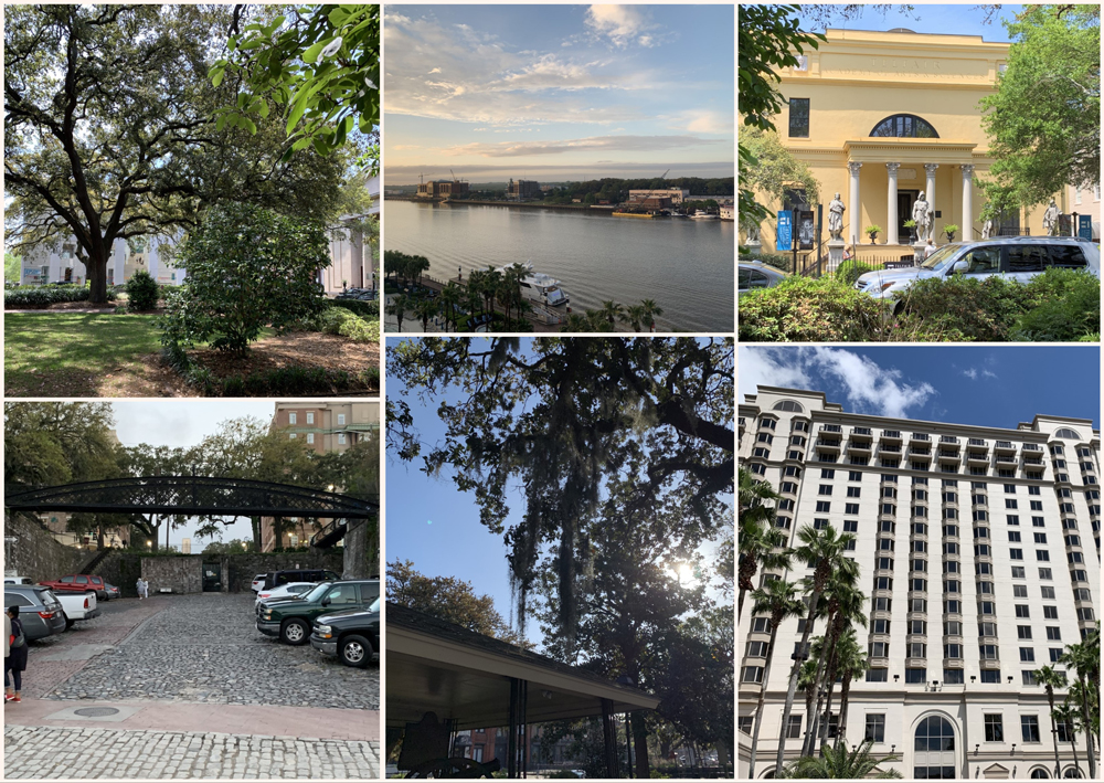 Savannah 2019