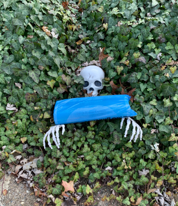 plastic skeleton with a newspaper in its hands