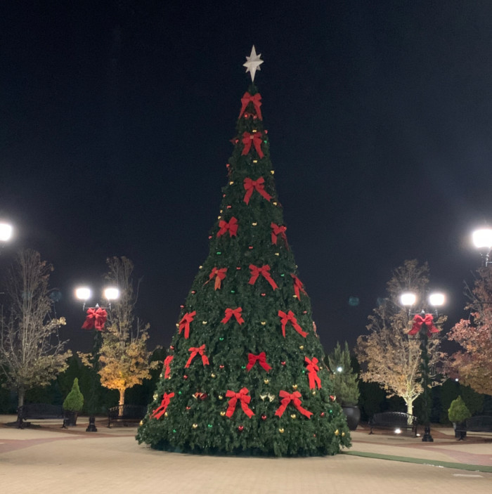 large outdoor christmas tree
