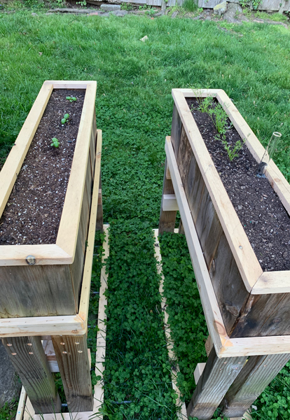 herb boxes