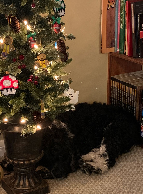 dog sleeping next to a Christmas tree