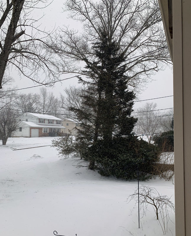 snowy front yard