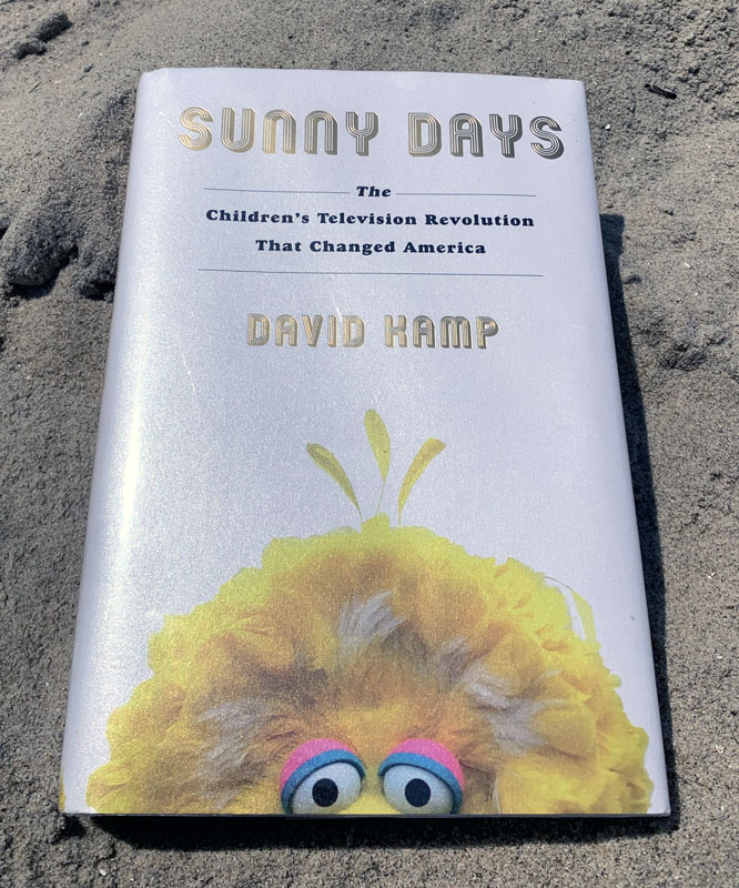 Sunny Days book on a sandy beach.