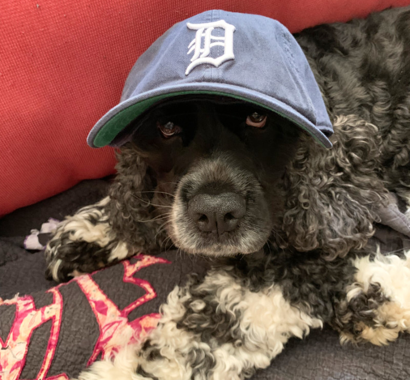 murphy wearing a Detroit Tigers hat for no reason