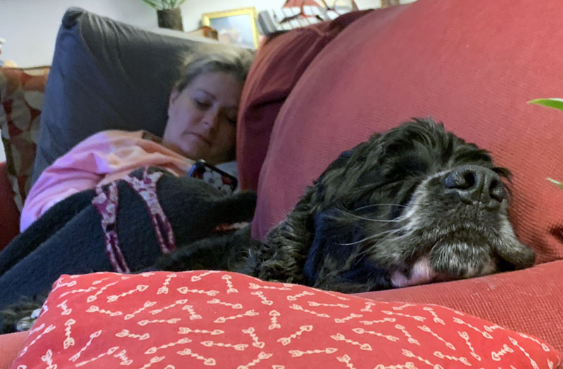 kim and murphy sleeping on the sofa