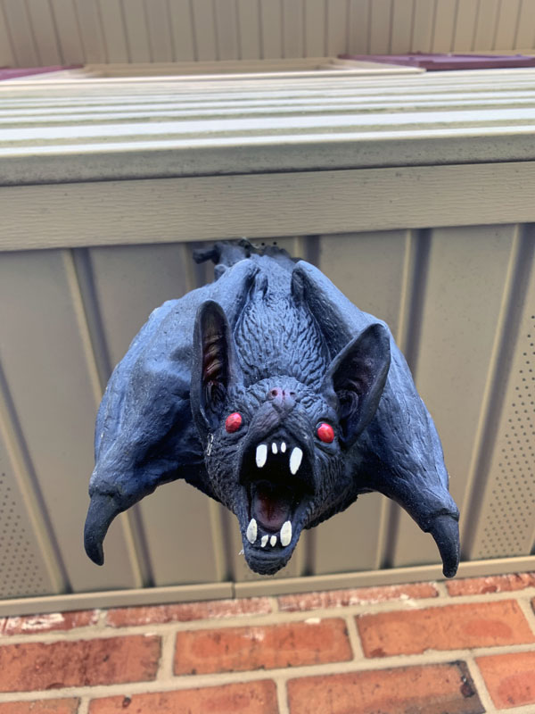 a rubber bat hanging down from a soffit