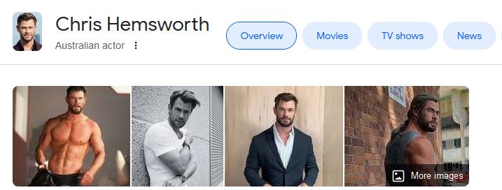 screenshot of Chris Hemsworth Google results