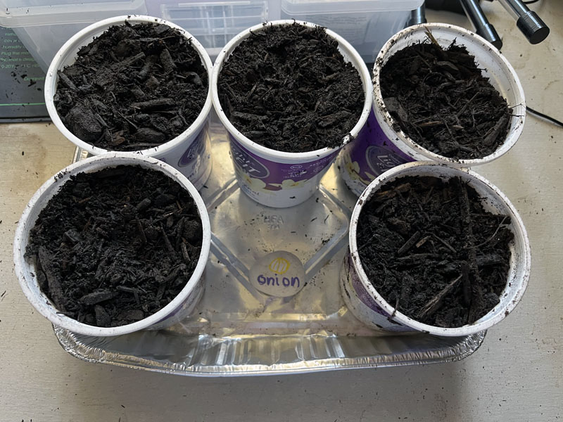 five pots with soil in them