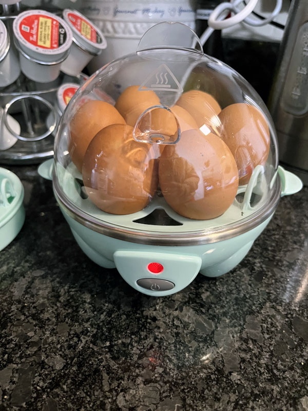 hamilton beach egg cooker