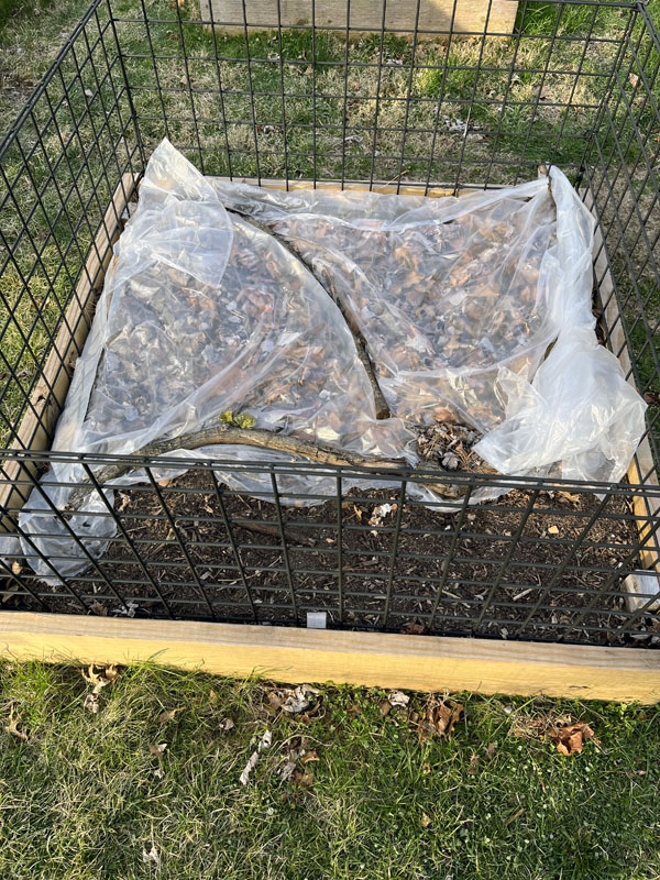 plastic and leaves covering part of the garden bed