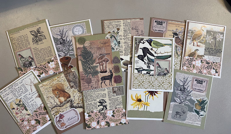 display of handmade cards with a nature theme.