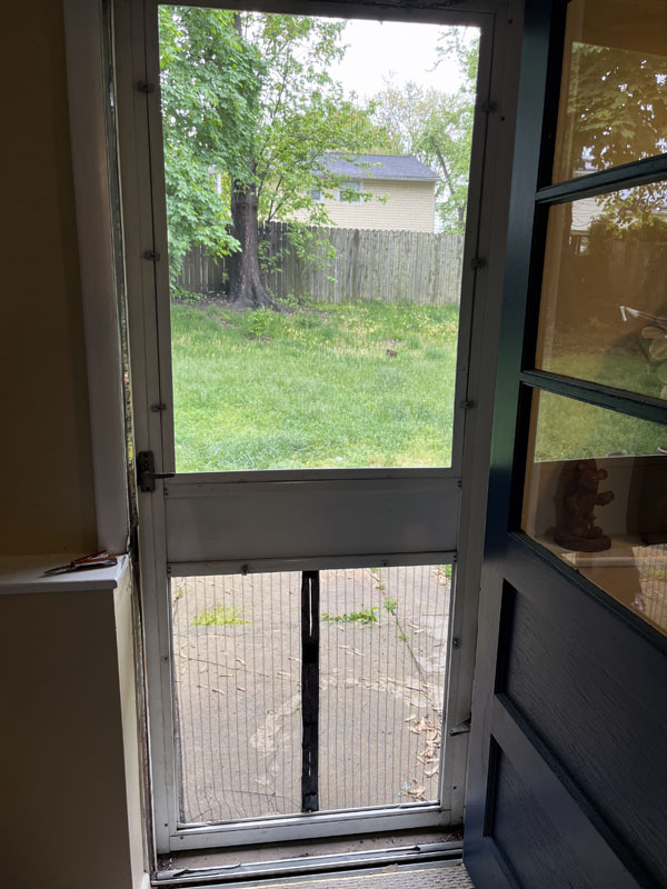 my screen door, once again a barrier to flies, mosquitos, birds, and chipmunks.