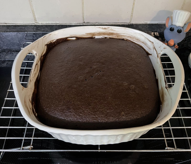 baked, unfrosted chocolate cake

