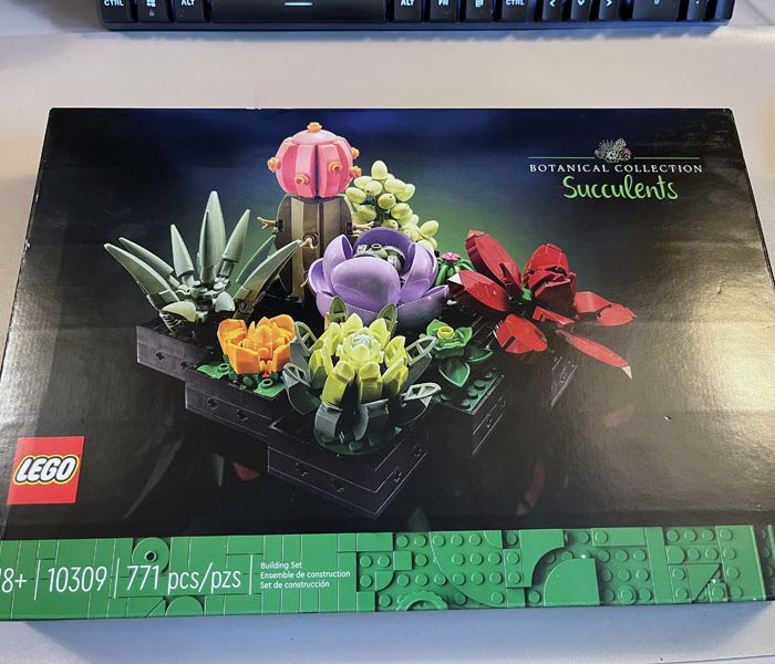 lego botanical succulent kit