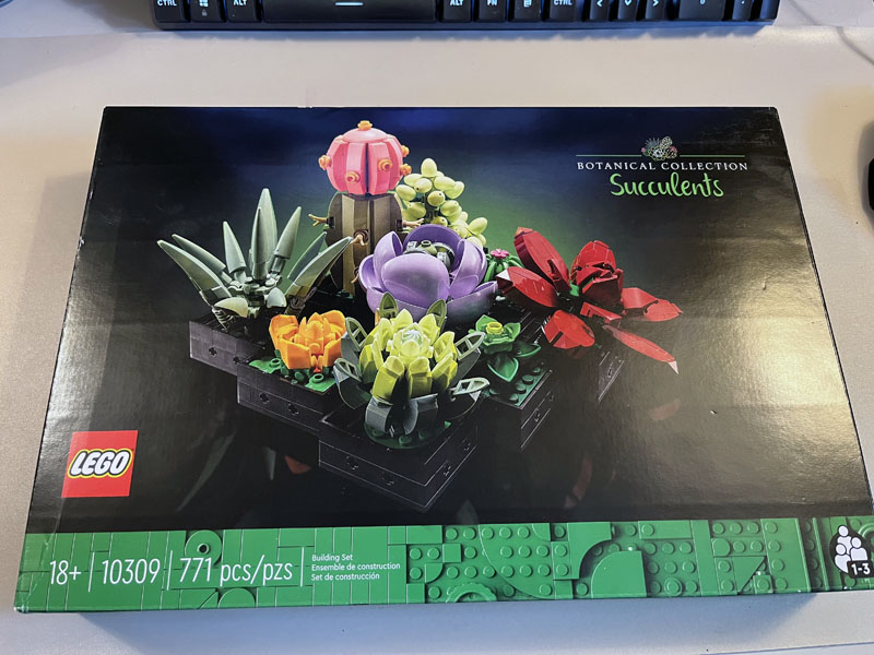 Assembling the LEGO succulents