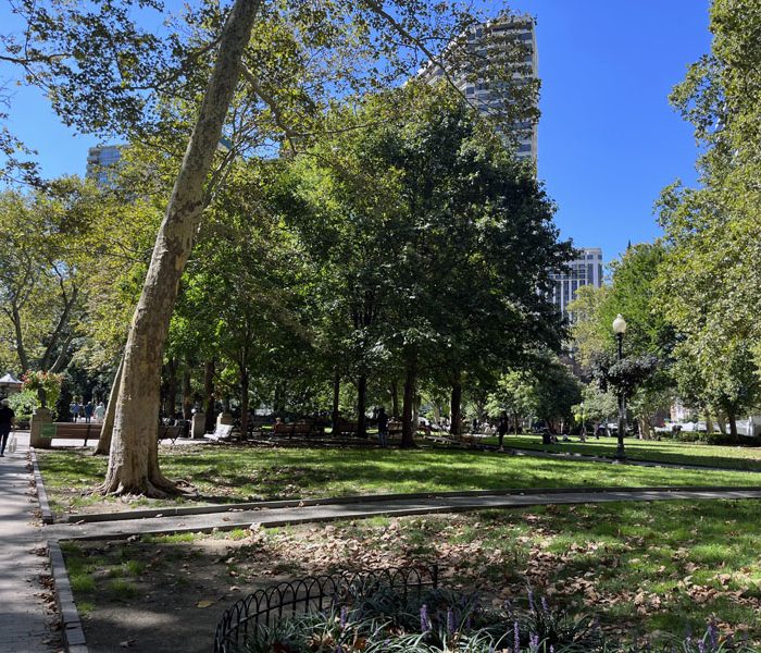 Tall trees, green grass, walking path, a cloudless sky