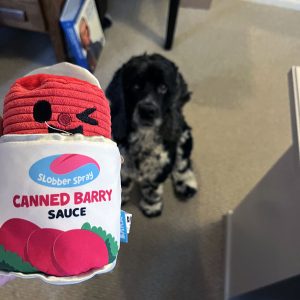 Murphy and a cranberry sauce themed dog toy.