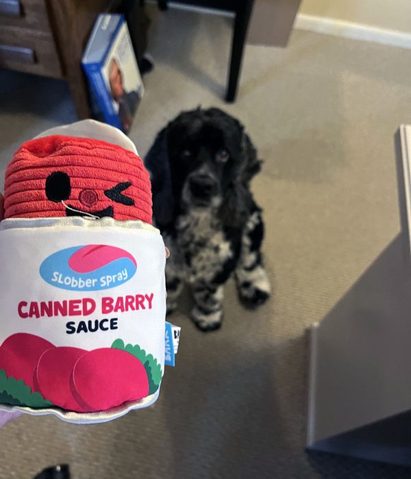 Murphy and a cranberry sauce themed dog toy.