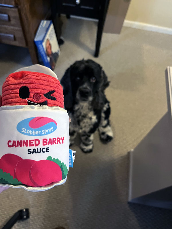 Murphy and a cranberry sauce themed dog toy.