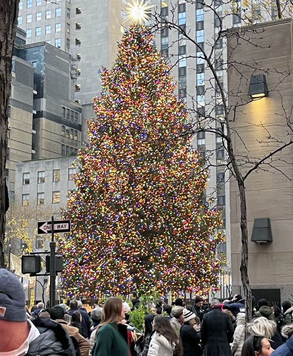 Rockefeller plaza tree