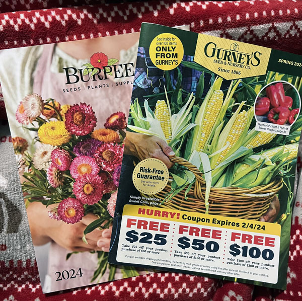 two seed catalogs on a christmas blanket - it's too early for this. Or is it?
