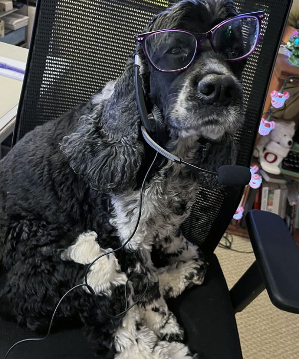 murphy with a headset and glasses on