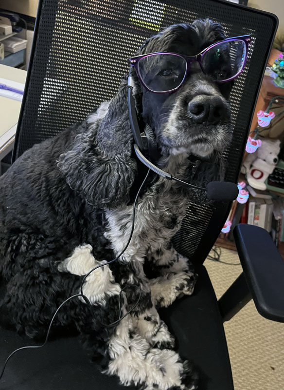 murphy with a headset and glasses on