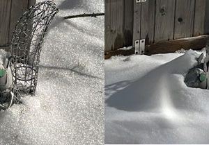 two shots of a little metal squirrel sculpture. In the first, the squirrel is halfway buried by snow. In the second, it's almost all buried.