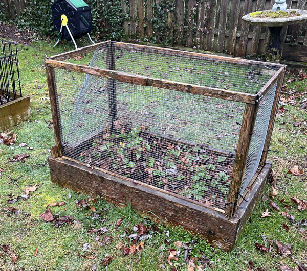 a wooden garden bed with mesh screens.