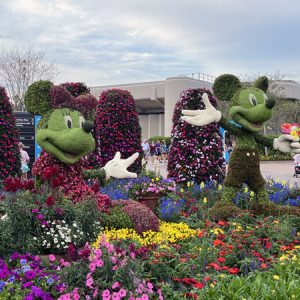 topiaries of Minnie Mouse and Mickey Mouse at Epcot's Flower and Garden Festival. We went for 2 nights.