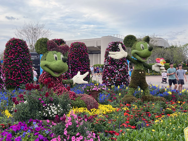 topiaries of Minnie Mouse and Mickey Mouse at Epcot's Flower and Garden Festival. We went for 2 nights.