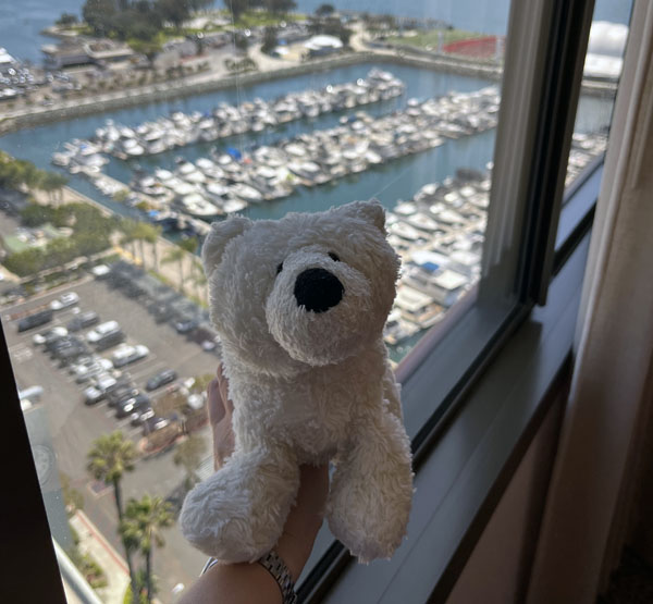 olliebear, the stuffed polar bear in front of the hotel room window. behind him is the San Diego Marina