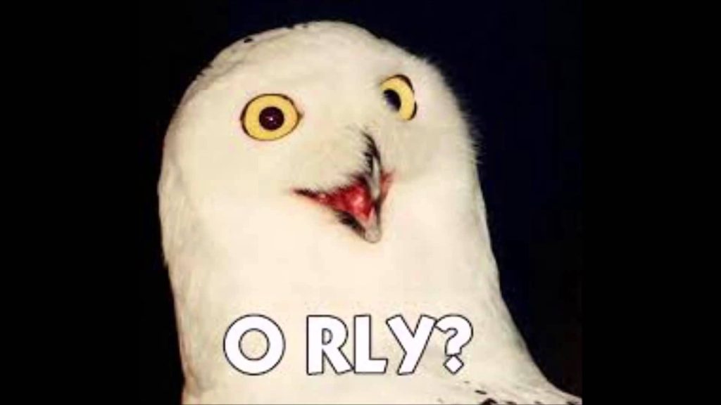 the classic meme of the white owl with a surprised face and O RLY? on it