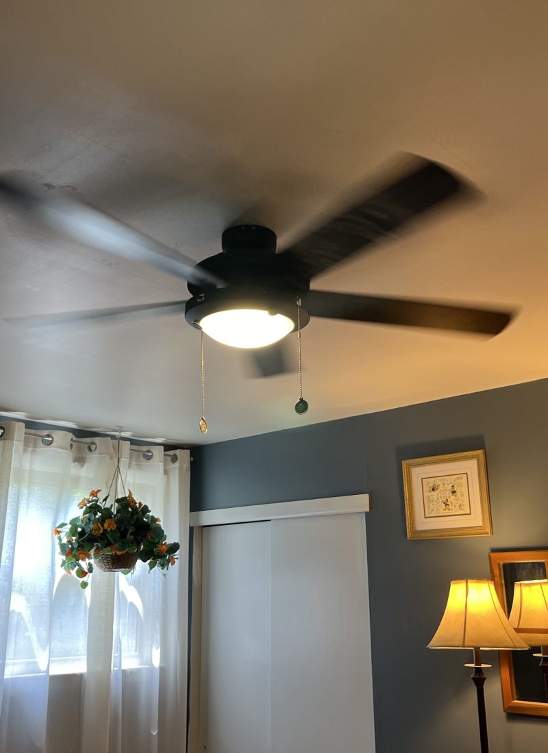 Lady of the Manor: Ceiling fan install