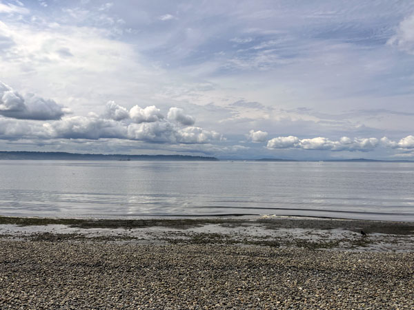 Seahurst park, Seattle. It's a rocky beach, one I'm not accustomed to.