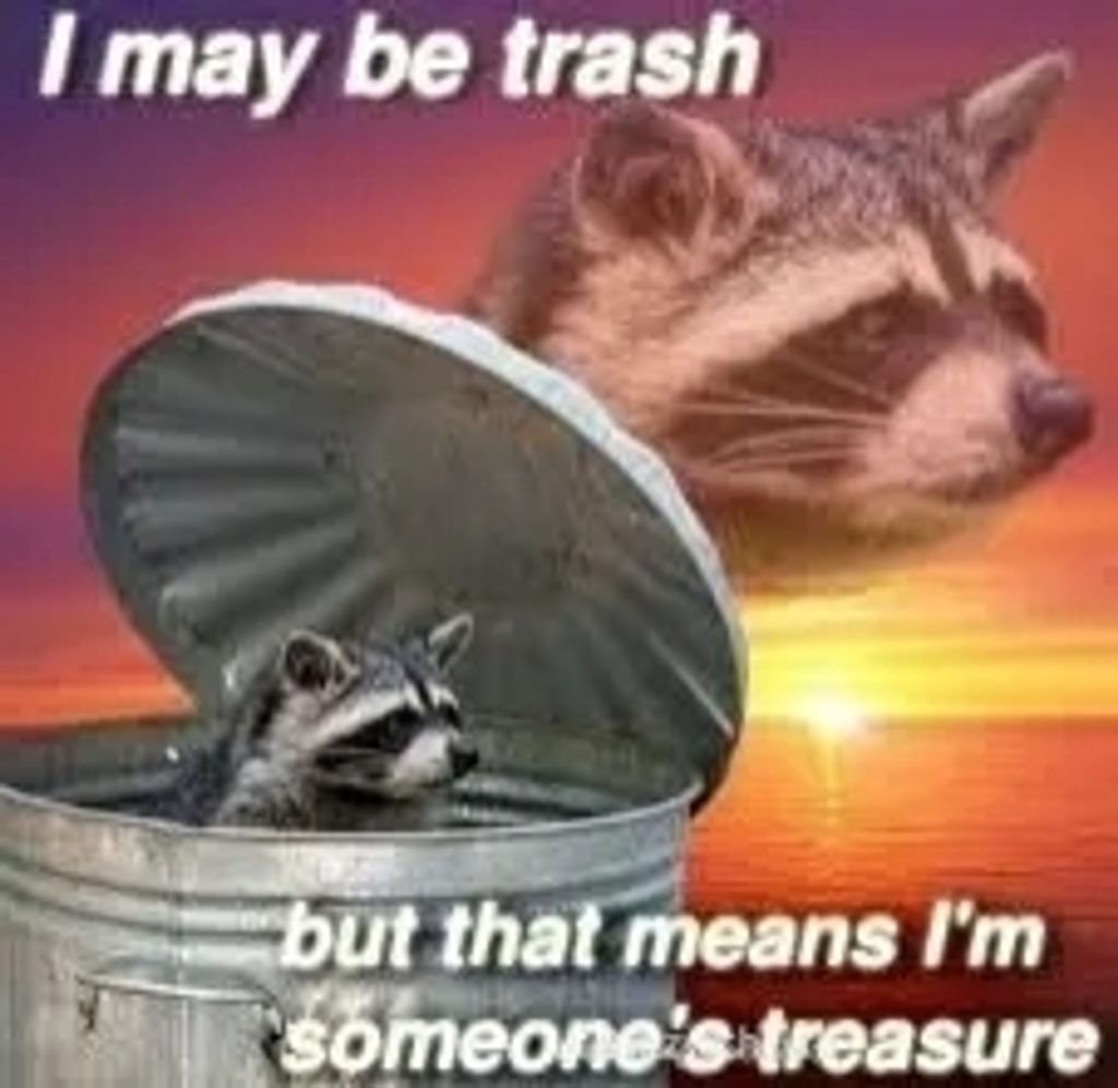 a raccoon in a trashcan with a gorgeous beach sunset behind it. text reads: I may be trash but that means I'm someone's treasure.