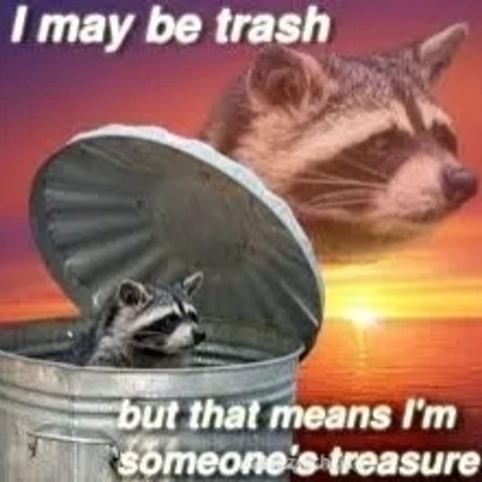 a raccoon in a trashcan with a gorgeous beach sunset behind it. text reads: I may be trash but that means I'm someone's treasure.