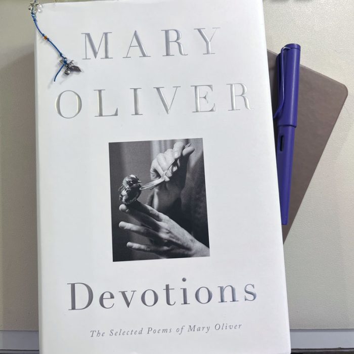 Mary Oliver Devotions, with a bookmark in it on top of a notebook. My purple fountain pen is next to it. The cover has a photo of a woman spoonfeeding a small bird.