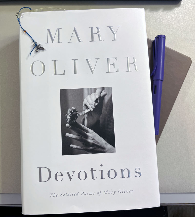 Mary Oliver Devotions, with a bookmark in it on top of a notebook. My purple fountain pen is next to it. The cover has a photo of a woman spoonfeeding a small bird.