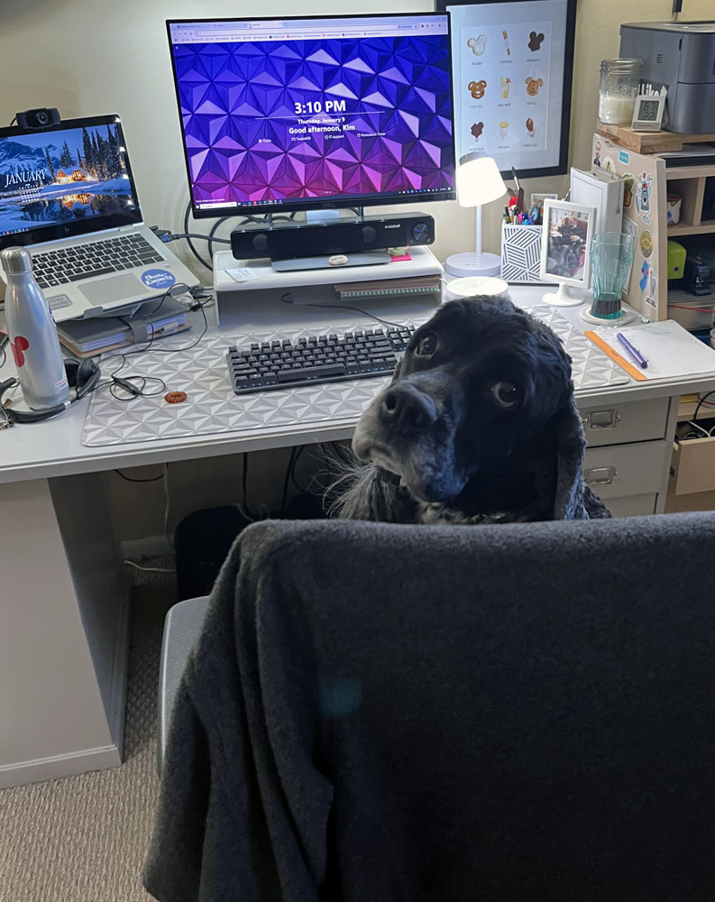 Murphy in Kim's seat, looking back at her. You can see a better shot of her desk, with her work laptop to the left and the larger monitor in the middle. She also has a spaceship earth patterned desk pad.