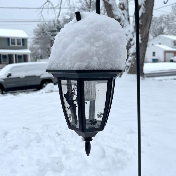 It's a solar lantern on a hook. There is a Tinkerbell silhouette on the lantern but more striking is the 4 inches of snow piled on top.