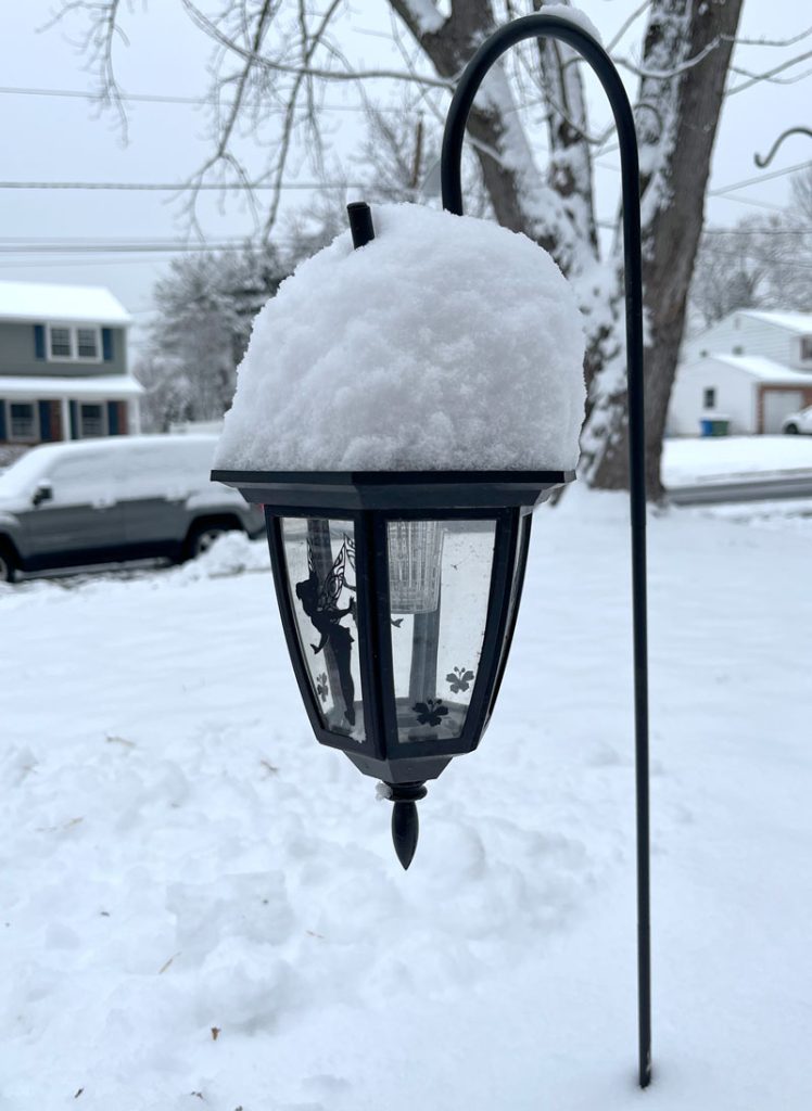 It's a solar lantern on a hook. There is a Tinkerbell silhouette on the lantern but more striking is the 4 inches of snow piled on top.