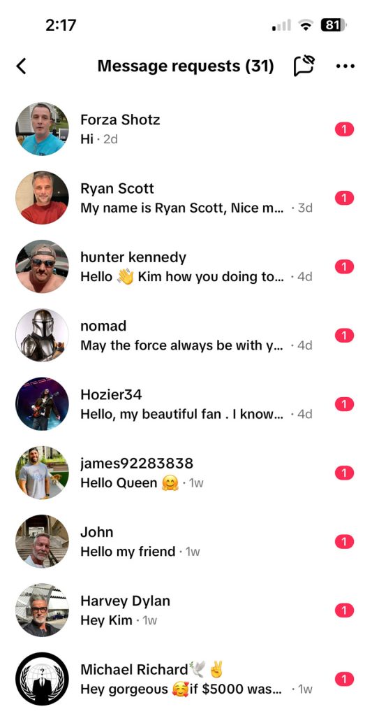 a screenshot from my tiktok message requests. Nine of the 31 requests are pictures. They are all from dudes and are trying to scam me by trying to hit on me. It's tiring.