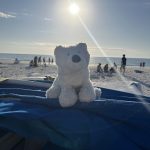 A small white stuffed polar bear sits upon a stack of folded blue cabanas. The beach and the Gulf of Mexico is behind him, as is the sun, about an hour from setting. He is a well traveled bear.