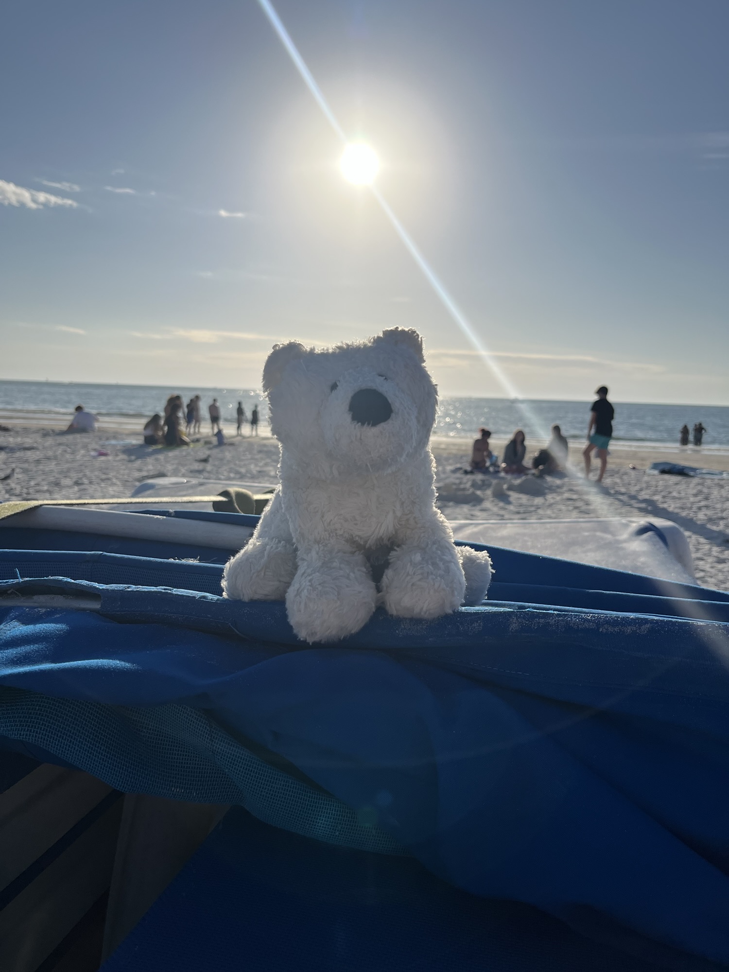 A small white stuffed polar bear sits upon a stack of folded blue cabanas. The beach and the Gulf of Mexico is behind him, as is the sun, about an hour from setting. He is a well traveled bear.