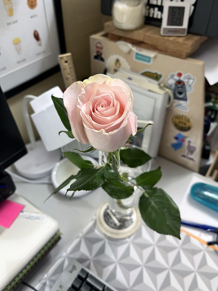 Kim's cluttered desk. The background is blurred, but you see stickers, a ruler, desk items. The only thing in focus is a pink rose in a glass that was given to me for mother's day, even though I'm not a mother. It's gorgeous.