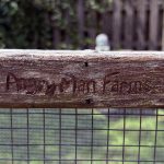 the words "angry Man Farms" roughly etched into very weathered wood, this is on the first garden bed WM built