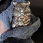 a shiny squirrel statue that lives next to the stove in our kitchen. I'm wiping the grease off of it