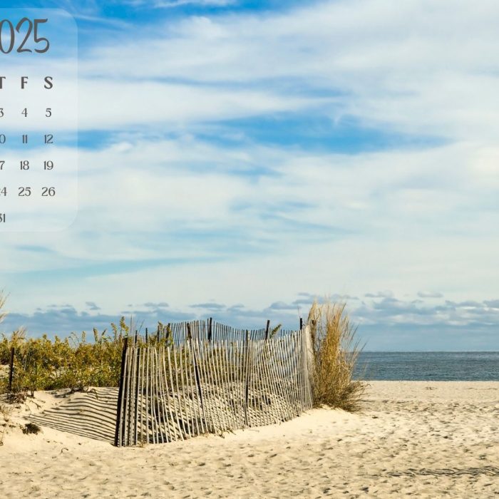 a serene photo of grassy dunes leading to a beach. it could be the jersey shore, but it could also be a stock photo I found on Canva